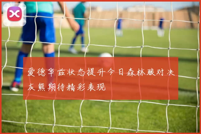 爱德华兹状态提升今日森林狼对决灰熊期待精彩表现
